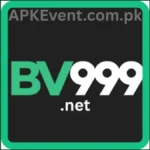 BV999 Game Logo