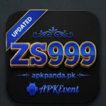 ZS999